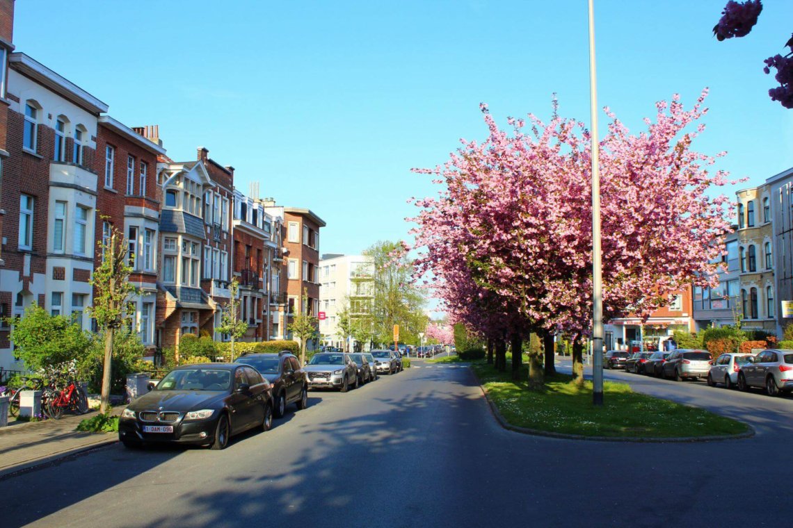 rustige buurt straat van woluwe-saint-lambert