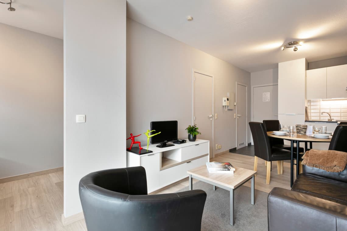 spacious one bedroom apartment in the european quarter, Brussels