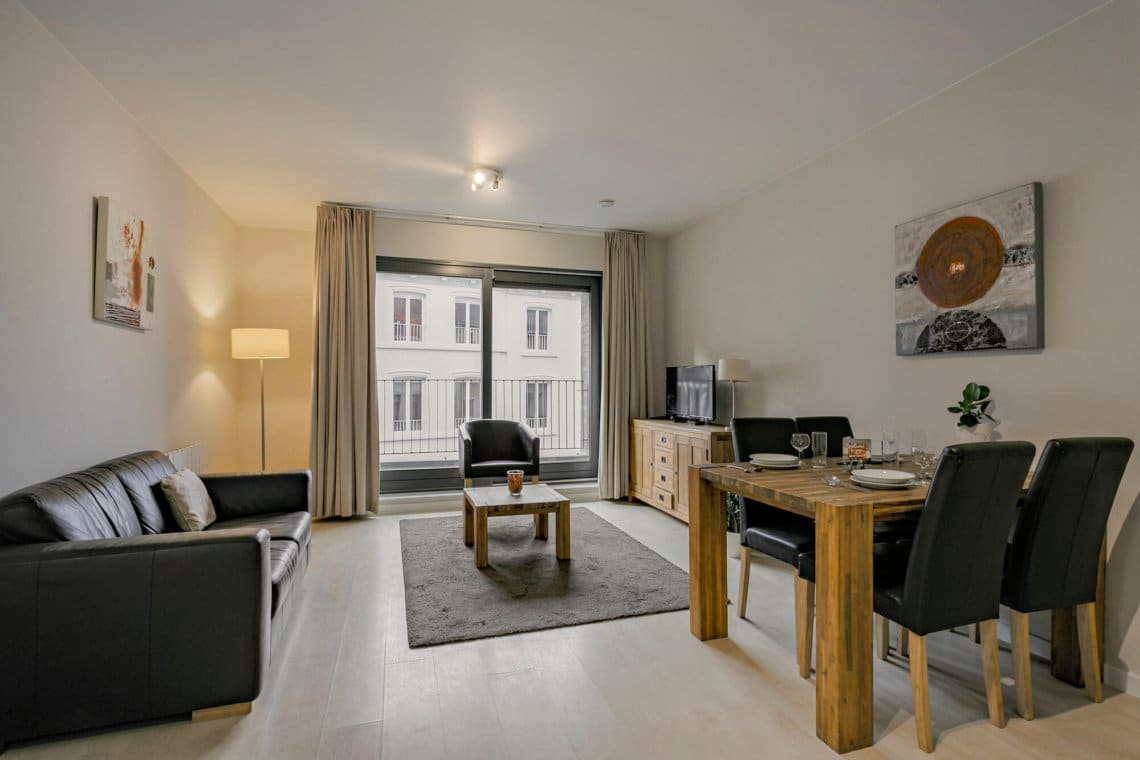 spacieux appartement meublé d'une chambre à coucher salon