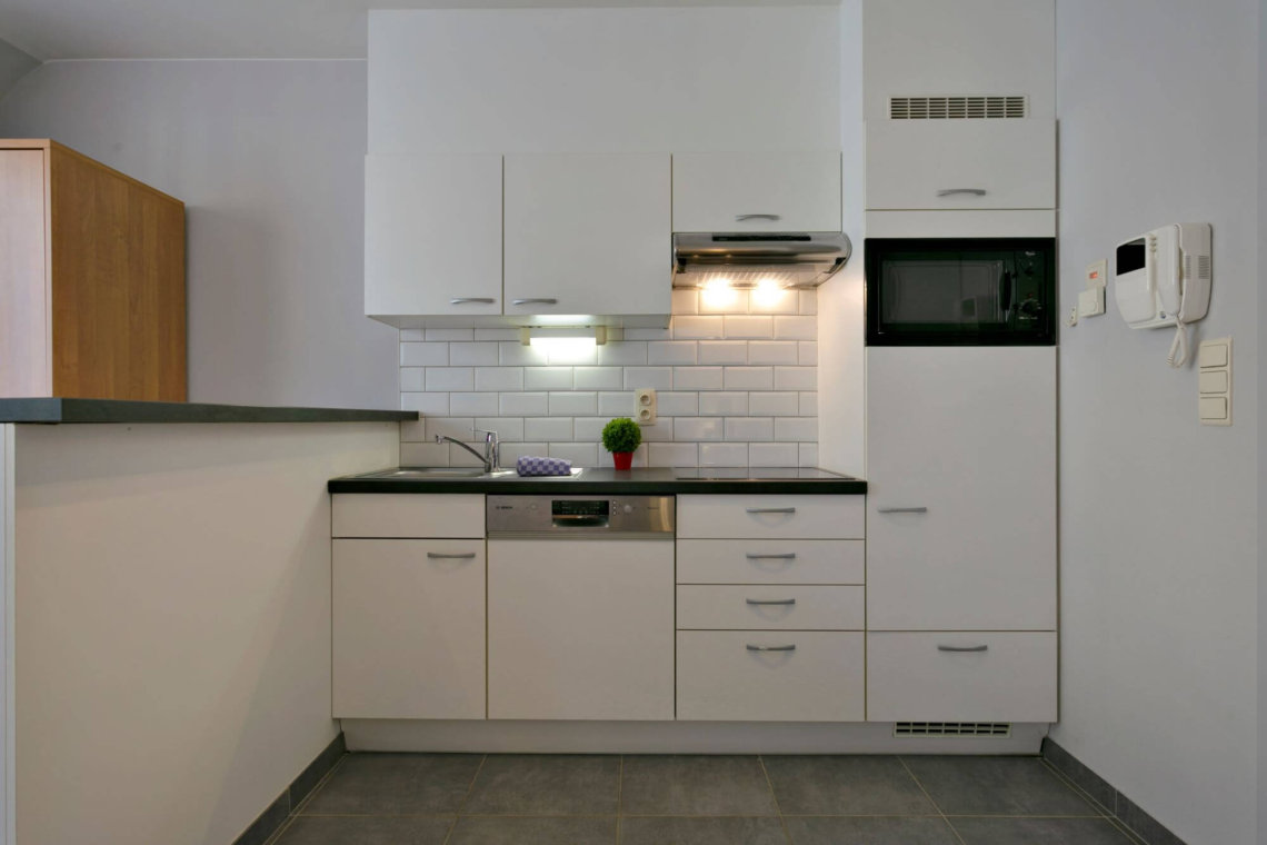 fully equipped kitchen with dishwasher in bbf studio apartment